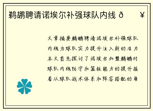 鹈鹕聘请诺埃尔补强球队内线 🔥